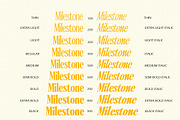 Ten Twenty Family (18 Fonts), a Serif Font by Positive TypeFoundry (Thumbnail 13 of 15)