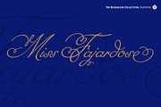 MissFajardose Pro, a Script Font by Sudtipos (Thumbnail 1 of 5)