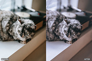 Minimal Lightroom Presets, a Preset Add-On by AAA Presets (Thumbnail 9 of 21)