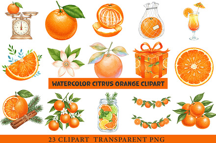 Watercolor Citrus Orange Clipart