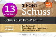 SchussSlabProMedium No.13 (1 Font), a Slab Serif Font by typic schuss (Thumbnail 2 of 6)