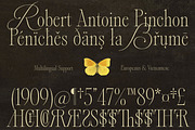 Alizee - Classy Hybrid Serif, a Serif Font by Harmonais Visual (Thumbnail 27 of 29)