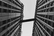 Chicago Urban Photo Pack, a Nature Photo by baker2512 (Thumbnail 9 of 10)