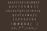 Book Nerd, a handmade serif font, a Handwritten Font by Eryn Rose Design (Thumbnail 7 of 12)