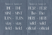 White Mint - elegant display serif, a Font by Innire (Thumbnail 7 of 9)