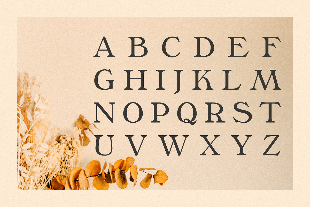 Phaedra // A Retro Serif Typeface, a Serif Font by Megs Lang (Photo 11 of 17)