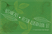Botanical Leaves Hand-Drawn Vectors, an Object Graphic by MyNatureGraphics (Thumbnail 1 of 2)