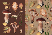 Fungus, a Pattern Graphic by Sundra (Thumbnail 9 of 13)
