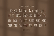Cramik Elegant Serif Display Font, a Serif Font by Perfectype (Thumbnail 8 of 8)