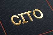 Cito - Minimalist Luxury Serif, a Serif Font by Astuti Studio (Thumbnail 11 of 28)