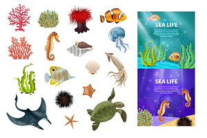 Sea Life Set