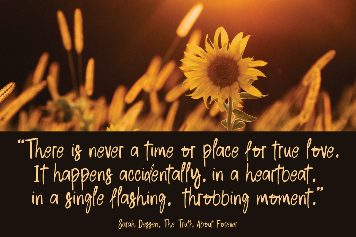 Taro Leaves - Brush Signature, a Handwritten Font by tebaltipislab (Photo 2 of 9)