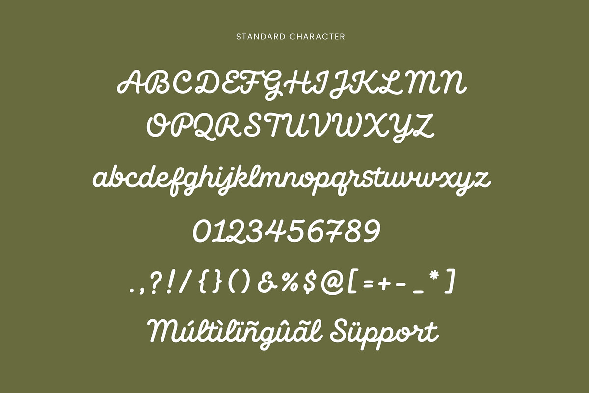 Beach Grove - Script Monoline Font, a Script Font by Elmous (Photo 10 of 11)