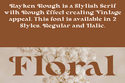 Rayken Rough, a Serif Font by Craft Supply Co. (Thumbnail 5 of 8)