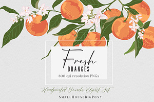 Fresh Oranges Clip art Set