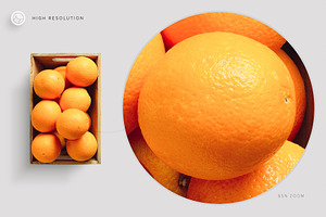 Fruits Oranges Citrus Scene Creator