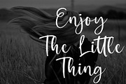 Bitheris Script Brush Font, a Script Font by Formatika Studio (Thumbnail 4 of 6)
