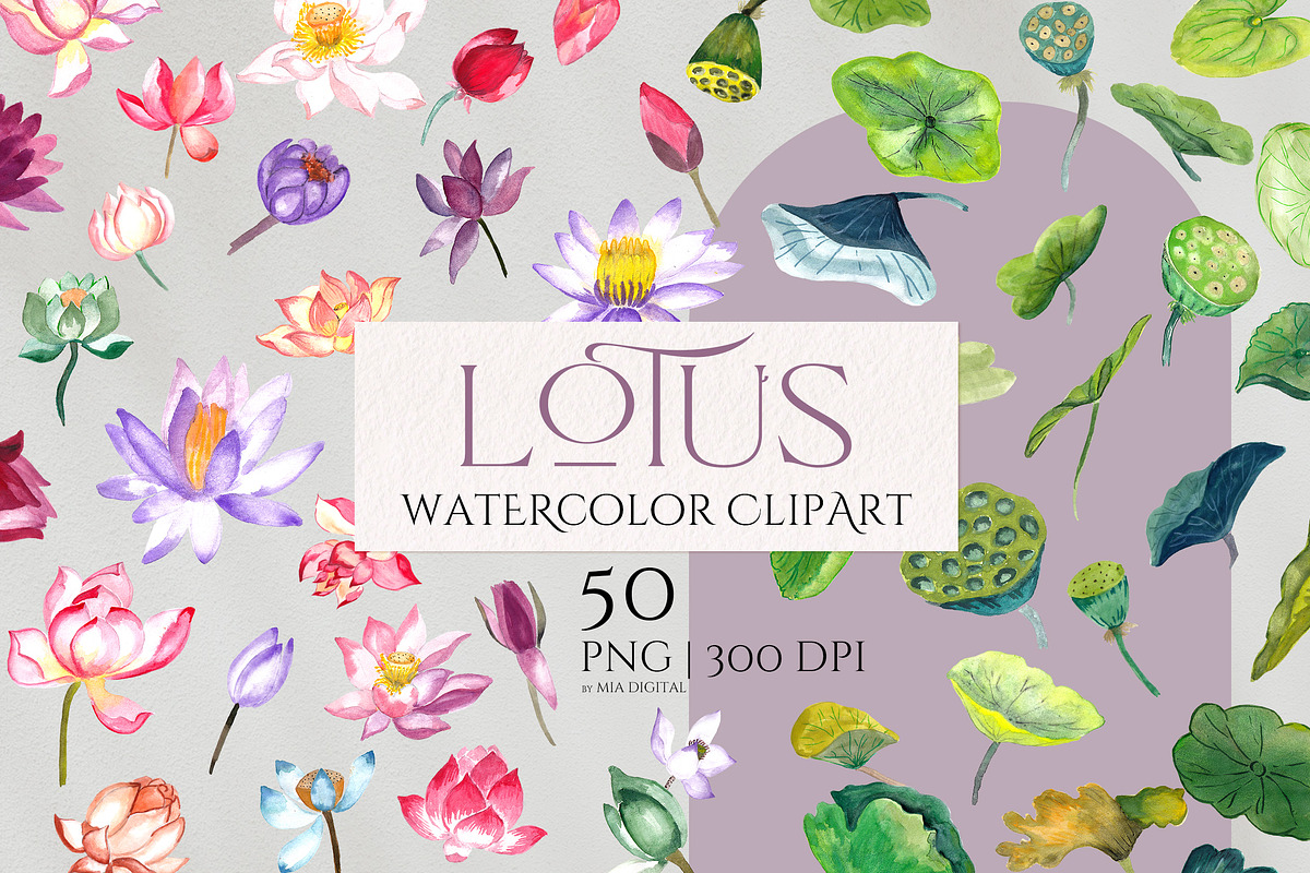 Lotus Flower, Water Lily Elements, an Illustration by Mia Digital (Photo 1 of 5)