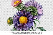 Flowers Aster Purple Clipart Vintage, an Illustration by Enliven Designs (Thumbnail 4 of 9)
