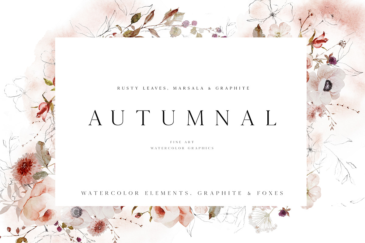Autumnal - Graphic Collection, an Animal Illustration by Isabelle Salem (Photo 1 of 11)