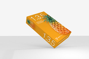 1.3.5 Simple 3D Box Mockup