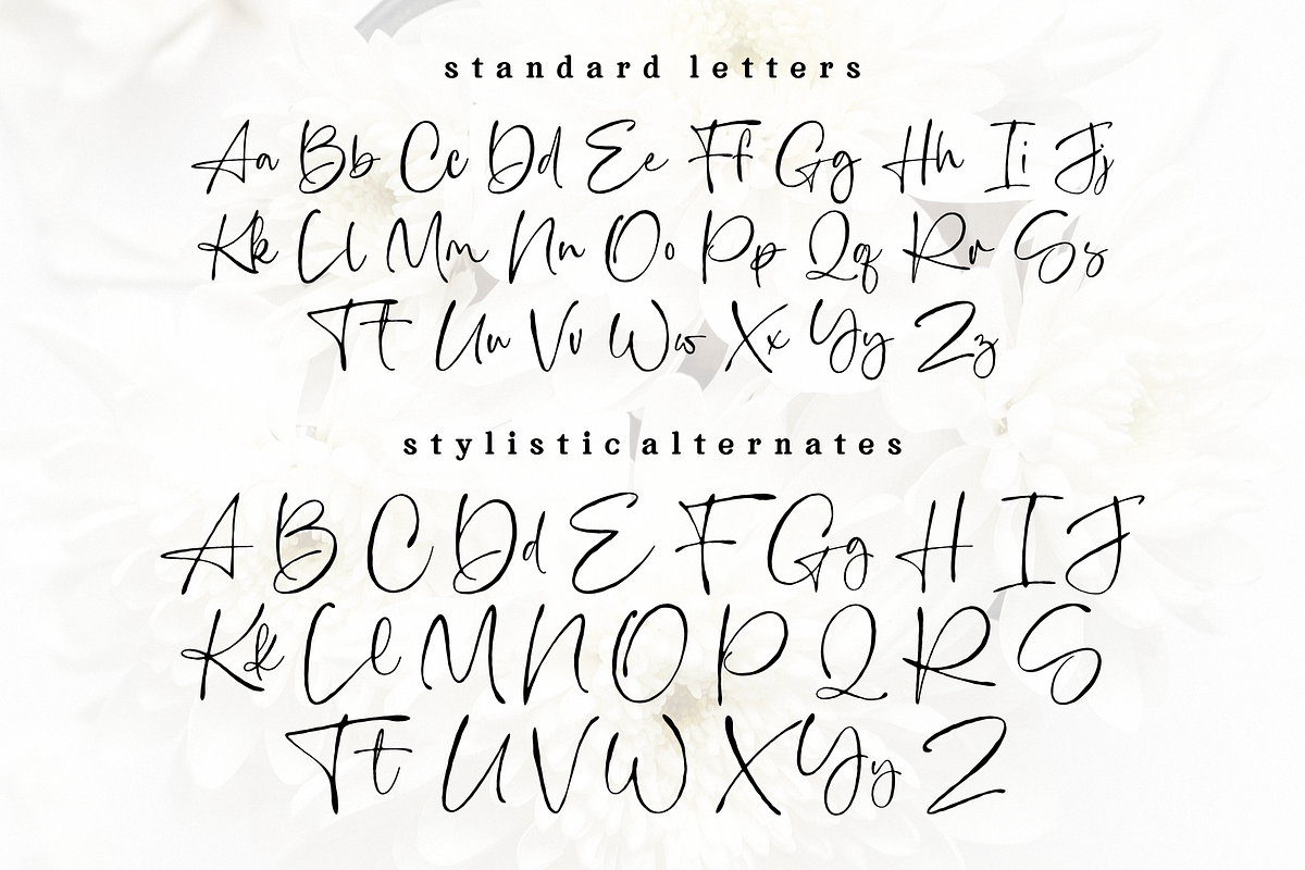 Fleur Marche – Modern Calligraphy, a Script Font by RedyStudio (Photo 12 of 13)