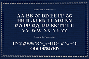 Bougenville - Embroidery Serif Font