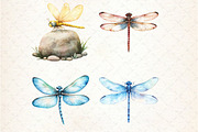 Summer Dragonfly Garden Clipart, an Illustration by Rose Art (Thumbnail 3 of 4)