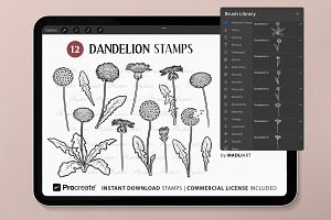 12 Dandelion Procreate Brush Stamps