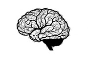 Brain Tree Knowledge Design Bundle, an Illustration by Gaye Art (Thumbnail 12 of 31)