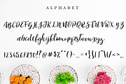 Showing, a Script Font by Larin Type Co. (Thumbnail 5 of 5)