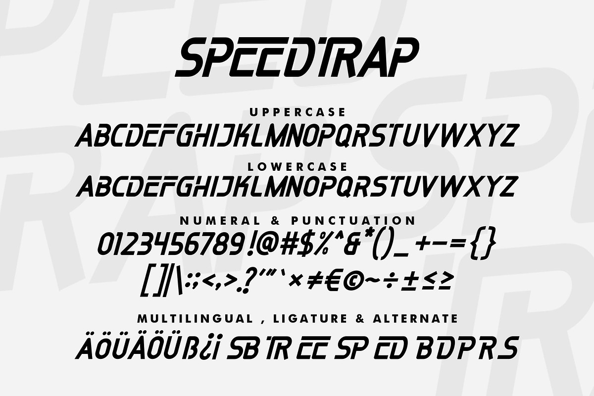 Speedtrap, a Sans Serif Font by Inspiratype (Photo 7 of 7)