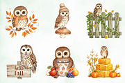 Autumn Owl Clipart Sublimation, an Illustration by Creative Art (Thumbnail 6 of 9)