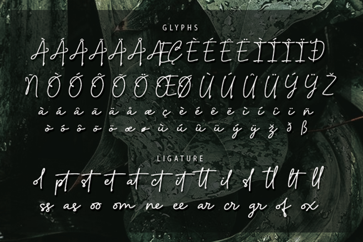 Artecallya, a Script Font by GlottaTypeface (Photo 7 of 8)