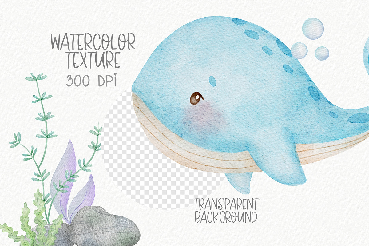 Under the sea 1 watercolor, an Animal Illustration by Estúdio Lin (Photo 4 of 6)
