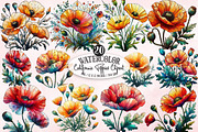 Watercolor California Poppies Clipar, an Illustration by Designking (Thumbnail 1 of 4)