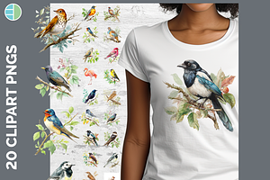 Bird Illustration Bundle, 21 PNG