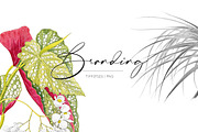 Blómstra, Luxury Spring 2021 Prints!, a Pattern Graphic by Pink Linen (Thumbnail 14 of 14)