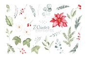 Winter Botanical Watercolor Set, a Decorative Illustration by Liliia Polos Illustration (Thumbnail 9 of 10)