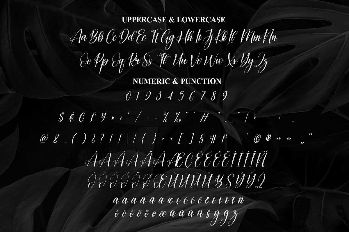 Handwritting | Script Font, a Handwritten Font by Scratchones (Photo 7 of 9)
