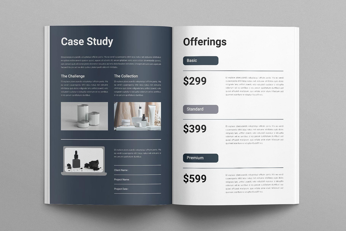 Services & Pricing Guide Template, a Brochure Template by TemplatesForest