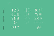 Par Realisation - Serif Typeface, a Serif Font by TypeMaison (Thumbnail 7 of 14)