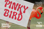 Panella - Groovy Display Font, a Script Font by AQR Studio (Thumbnail 3 of 9)