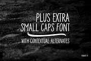 Dramaturg family - 4 fonts, a Script Font by Leitmotif (Thumbnail 6 of 6)