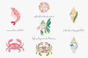 Tropical reef clipart set, a Decorative Illustration by Patishop Art (Thumbnail 2 of 10)