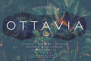 Ottavia - Rounded font, a Sans Serif Font by Craft Graphic Type (Thumbnail 1 of 6)