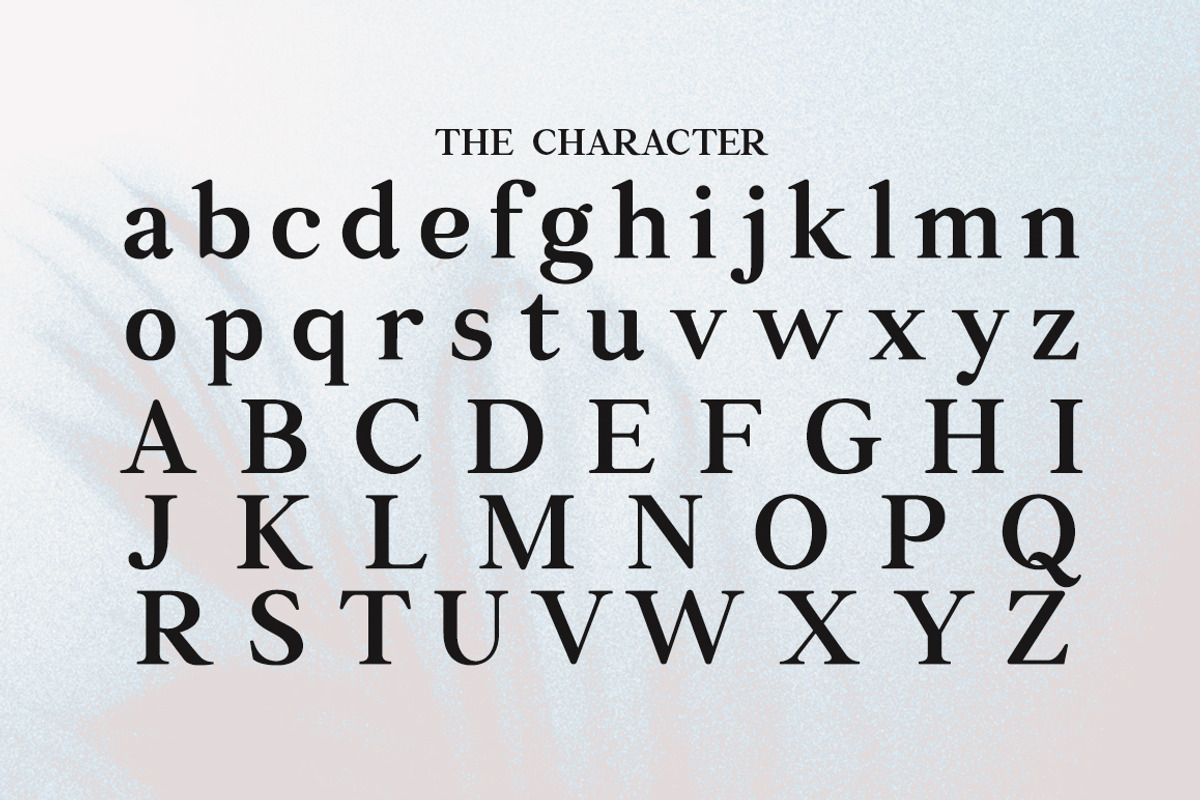 Rellita Display, a Serif Font by Gatype (Photo 9 of 11)