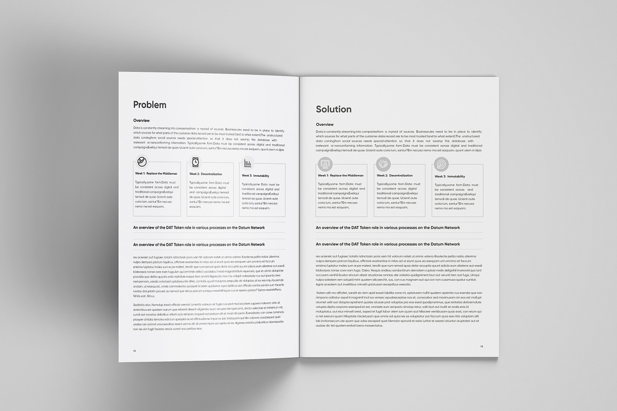 White Paper Template, a Brochure Template by azadcsstune (Photo 9 of 12)