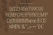 The Raffined Serif | Editorial Font, a Serif Font by Typoraith Co (Thumbnail 12 of 12)