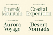 TT Vermolin — Modern Classy Serif, a Serif Font by truetype (Thumbnail 11 of 15)